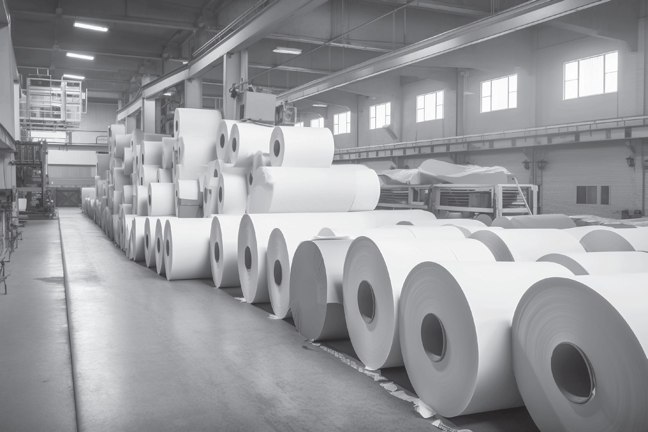 Paper mill warehouse with stacked rolls